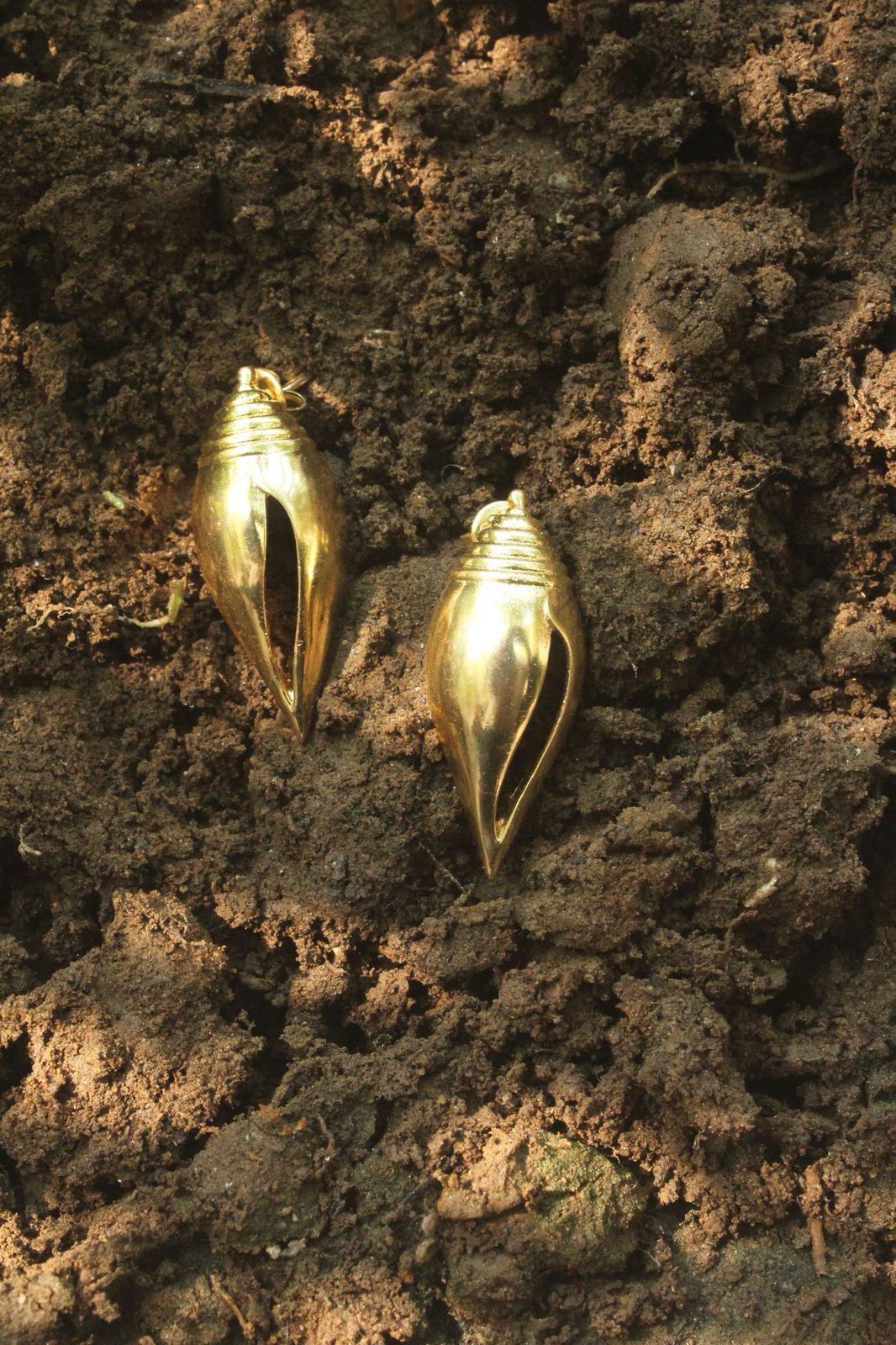 Shell Earrings