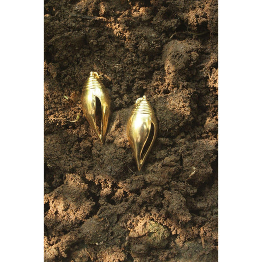 Shell Earrings