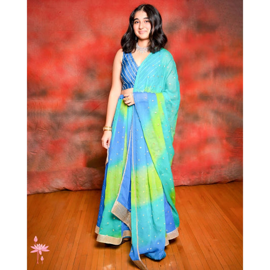 Blue Lehenga choli