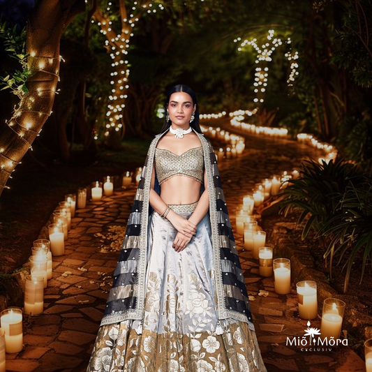 Brown Banarasi Weave Embroidered Lehenga Set