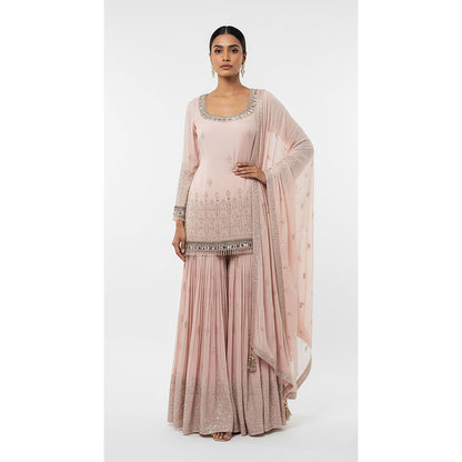 BLUSH DAWN EMBROIDERED SHARARA SET